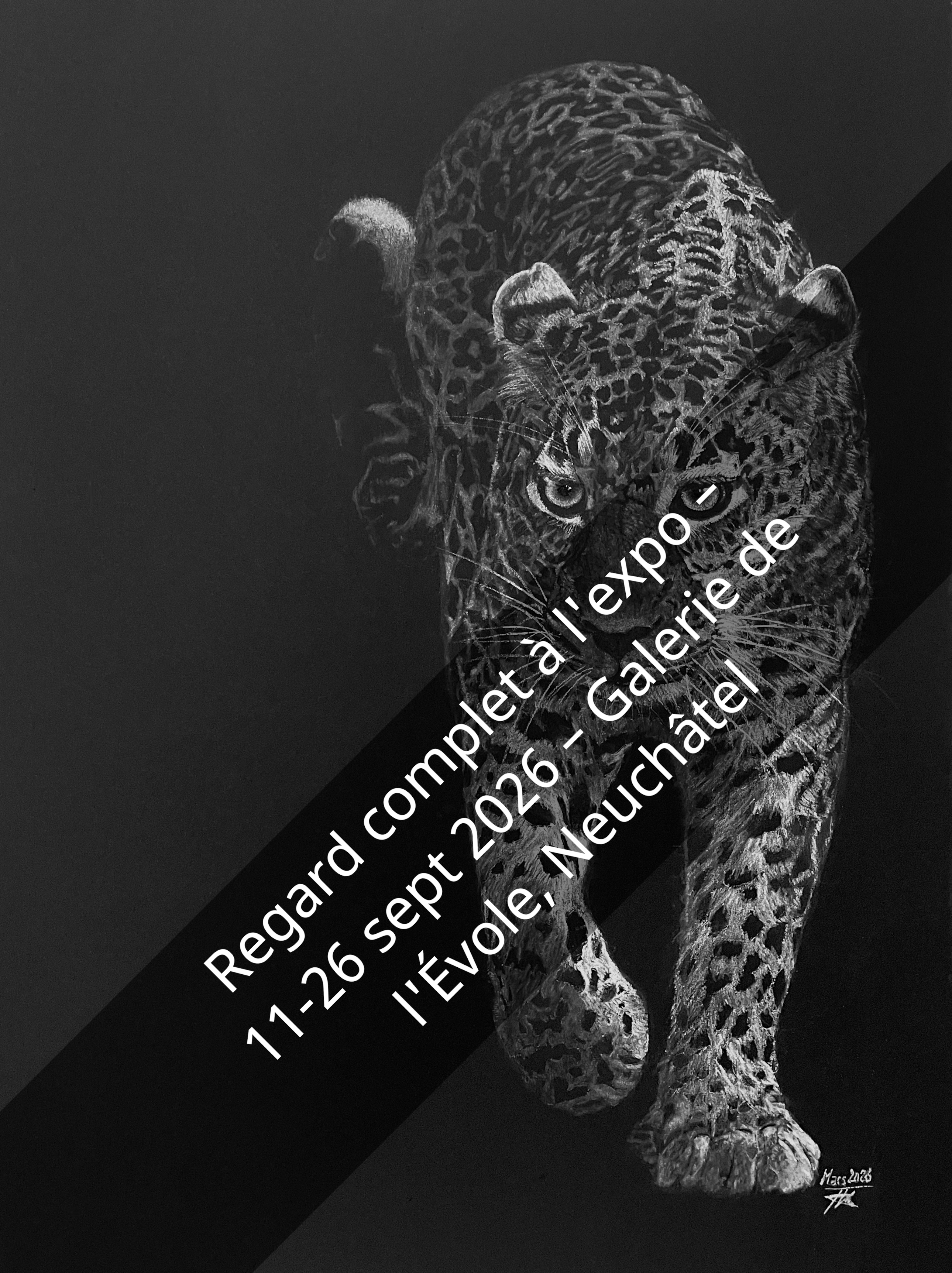 Premier article test pour blog kofkof