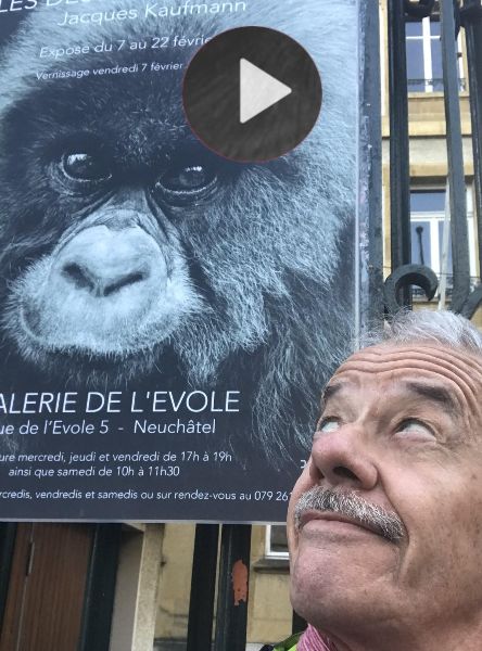 affiche, gorille, expo kofkof