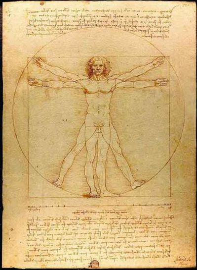 l'homme de Vitruve, Léonard de Vinci, Phi, le nombre d'Or